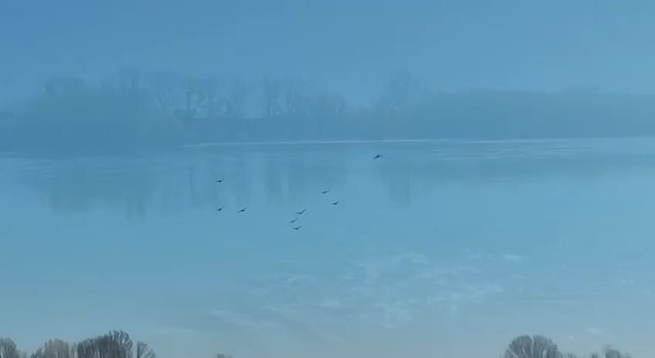 Весенний Днестр у Бендер наполняется живым пением птиц, создавая особую атмосферу тишины и природной гармонии