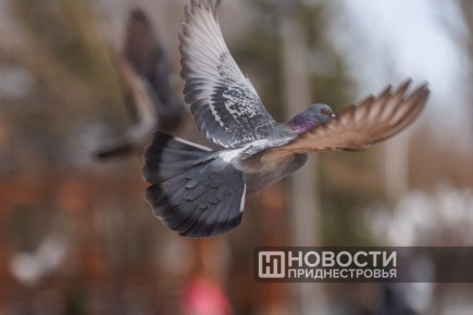 На Пасху 12 апреля будет прохладно, но ясно