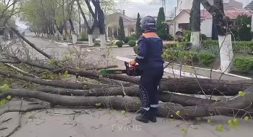 Последствия непогоды. Вчера вечером и сегодня ночью в республике поднялся сильный порывистый ветер, местами с дождём