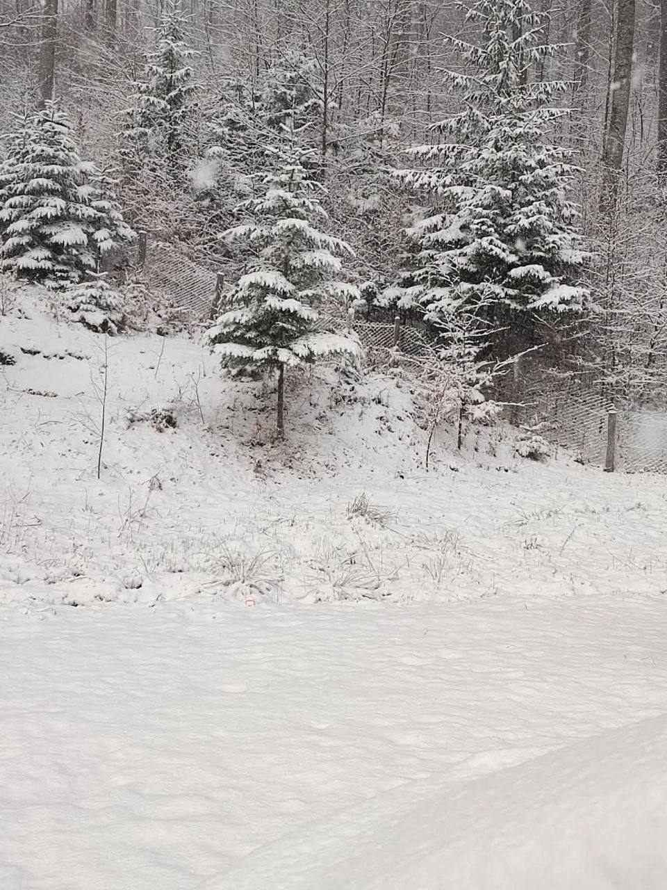 Пока мы удивлялись граду, Румынию сегодня буквально занесло снегом Пока мы удивлялись граду, Румынию сегодня буквально занесло снегом