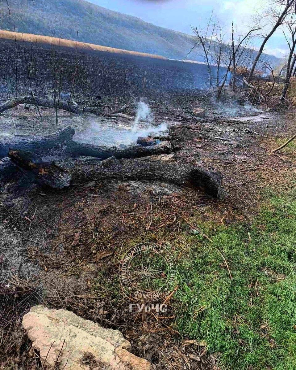 На видео, снятом очевидцами, ярко горит камыш в селе Бутучаны На видео, снятом очевидцами, ярко горит камыш в селе Бутучаны