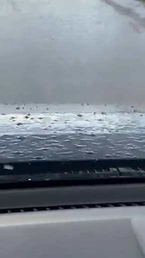 ���� �������� �� ������