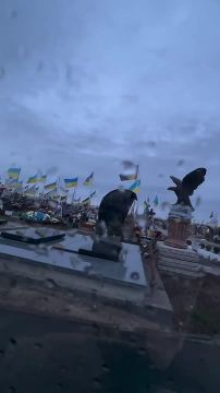 "Это Винница".. Одно из многочисленных кладбищ порожденных евромайданом