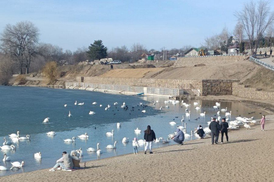 ������� ������ �� �������, 8 ������