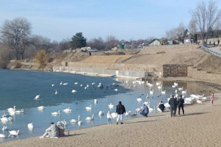 ������� ������ �� �������, 8 ������