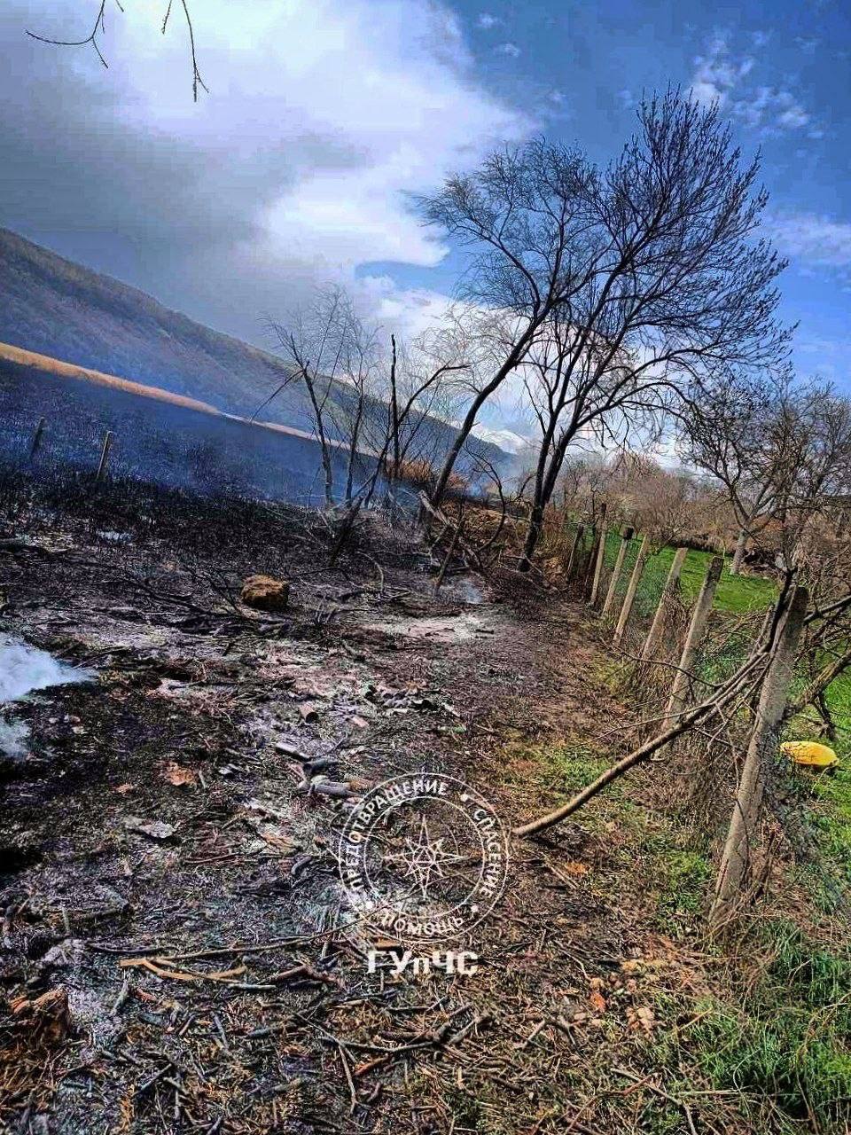 На видео, снятом очевидцами, ярко горит камыш в селе Бутучаны На видео, снятом очевидцами, ярко горит камыш в селе Бутучаны
