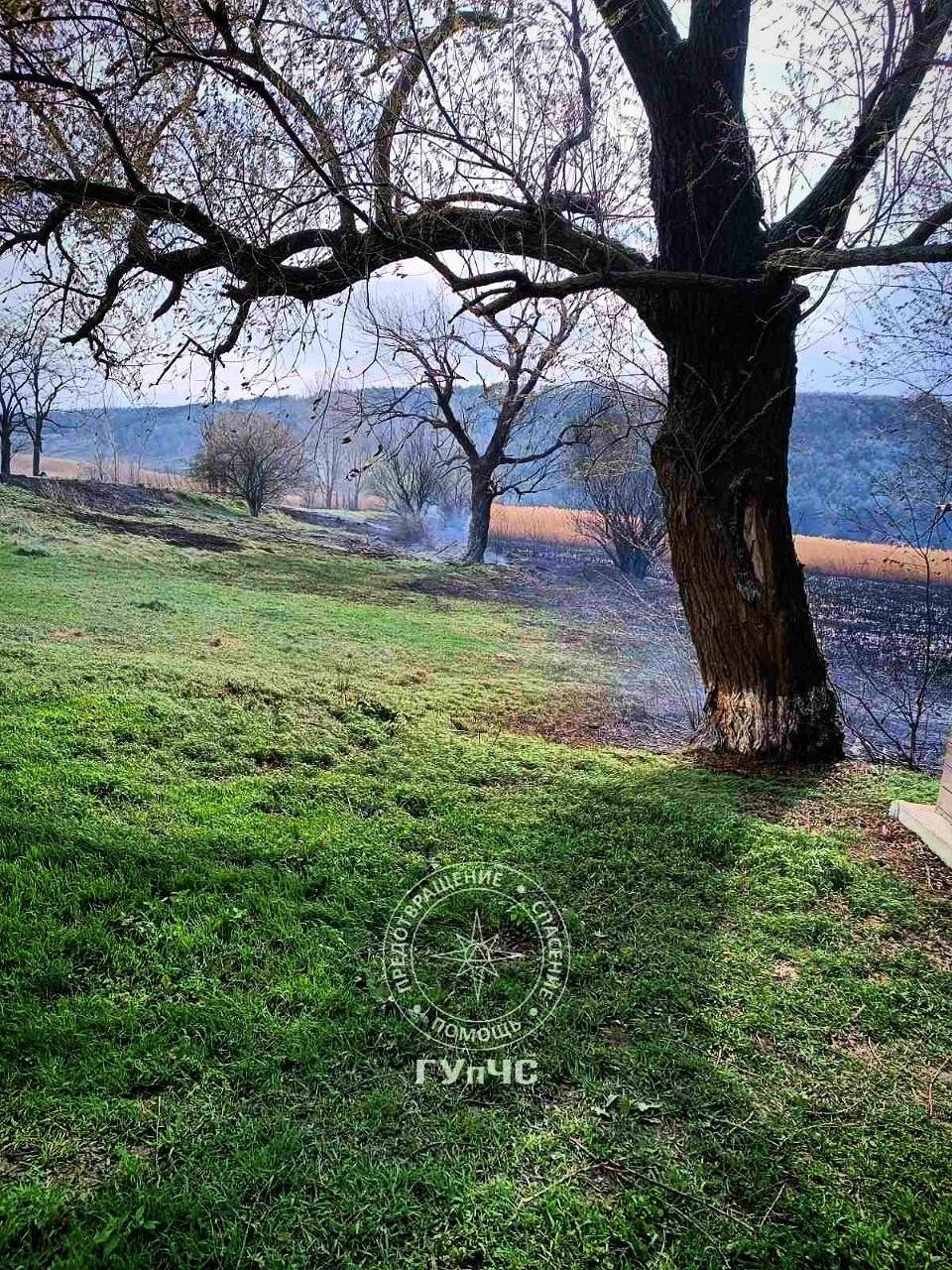 На видео, снятом очевидцами, ярко горит камыш в селе Бутучаны На видео, снятом очевидцами, ярко горит камыш в селе Бутучаны