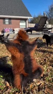 +19 � ������������� ������� ����� ������, ����� ������� ��� �������������