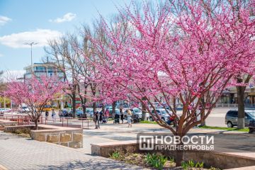Тепло вернется к концу следующей недели – прогнозируют 16 – 19 градусов