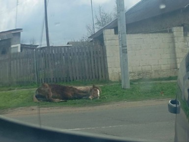 � ��������� ����� ���������� ����� ����