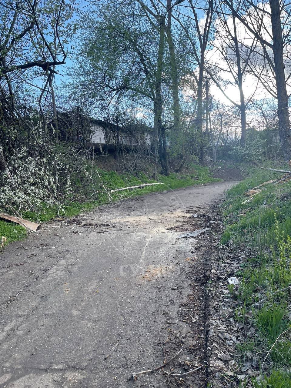 В Бендерах днём 8 апреля после сильного ветра большое дерево упало и перегородило проезд по улице 12 Октября В Бендерах днём 8 апреля после сильного ветра большое дерево упало и перегородило проезд по улице 12 Октября