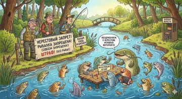 ���������� ������ � ������������� �������� 15 ������, �������� ����������