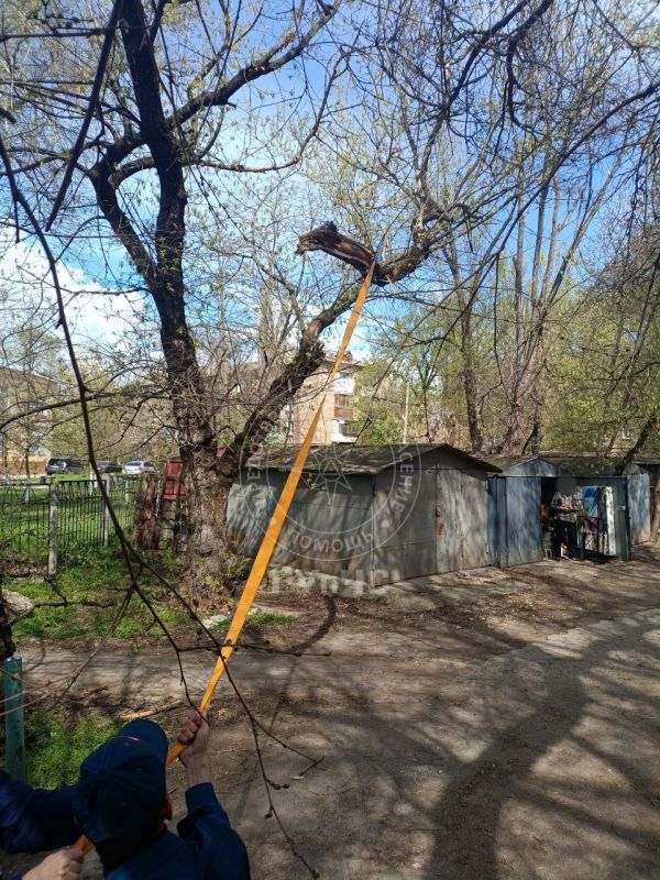 � ��� �������, �������� �����