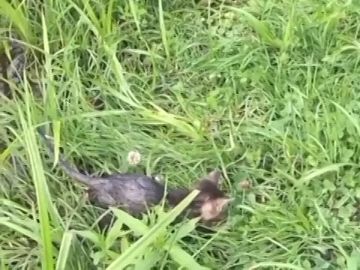 С 15 апреля в Приднестровье начнётся нерестовый запрет