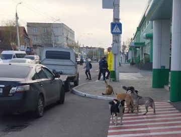 ��������� ���� � ����������� ����� ��������� ��������� ������� �� �����-���������