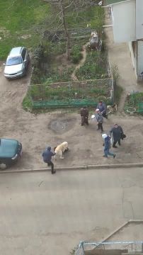 �� ������� �������� ������ �������� � ������ ������, ���� ������� �������� �� ������� ������� � �������