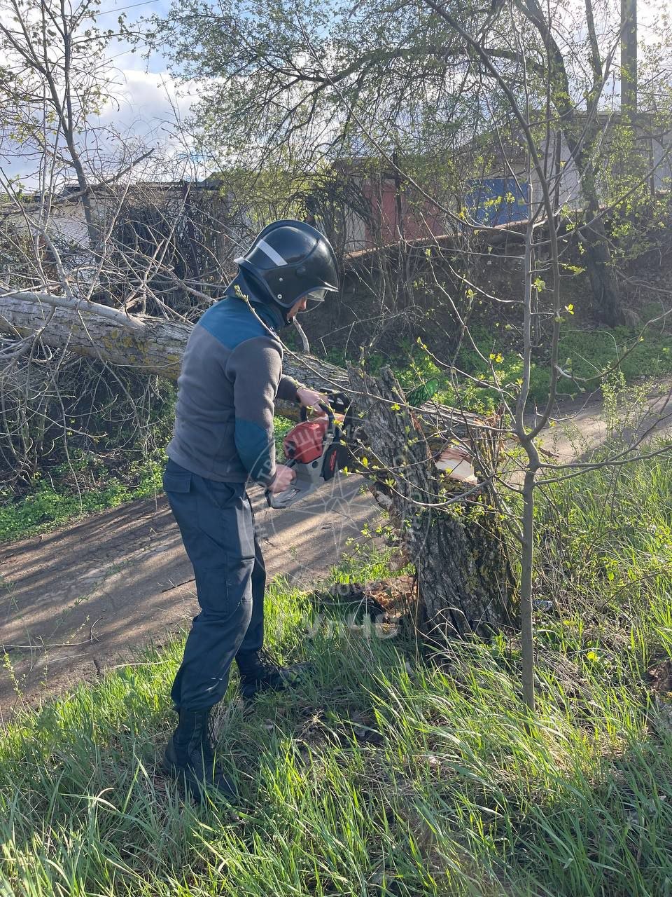 В Бендерах днём 8 апреля после сильного ветра большое дерево упало и перегородило проезд по улице 12 Октября В Бендерах днём 8 апреля после сильного ветра большое дерево упало и перегородило проезд по улице 12 Октября
