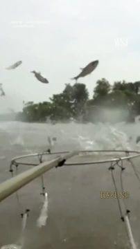 ������� ���� ����� �������: