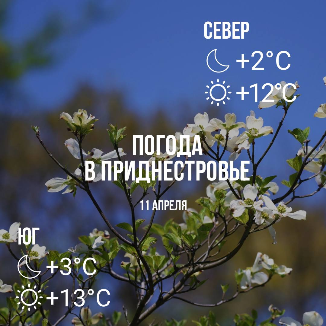 Днём – до +13°С, без осадков