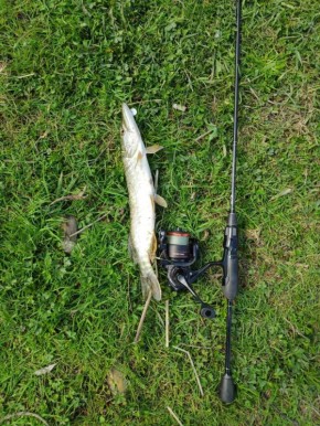 ������ � �������� ������� ������������ ������� �����