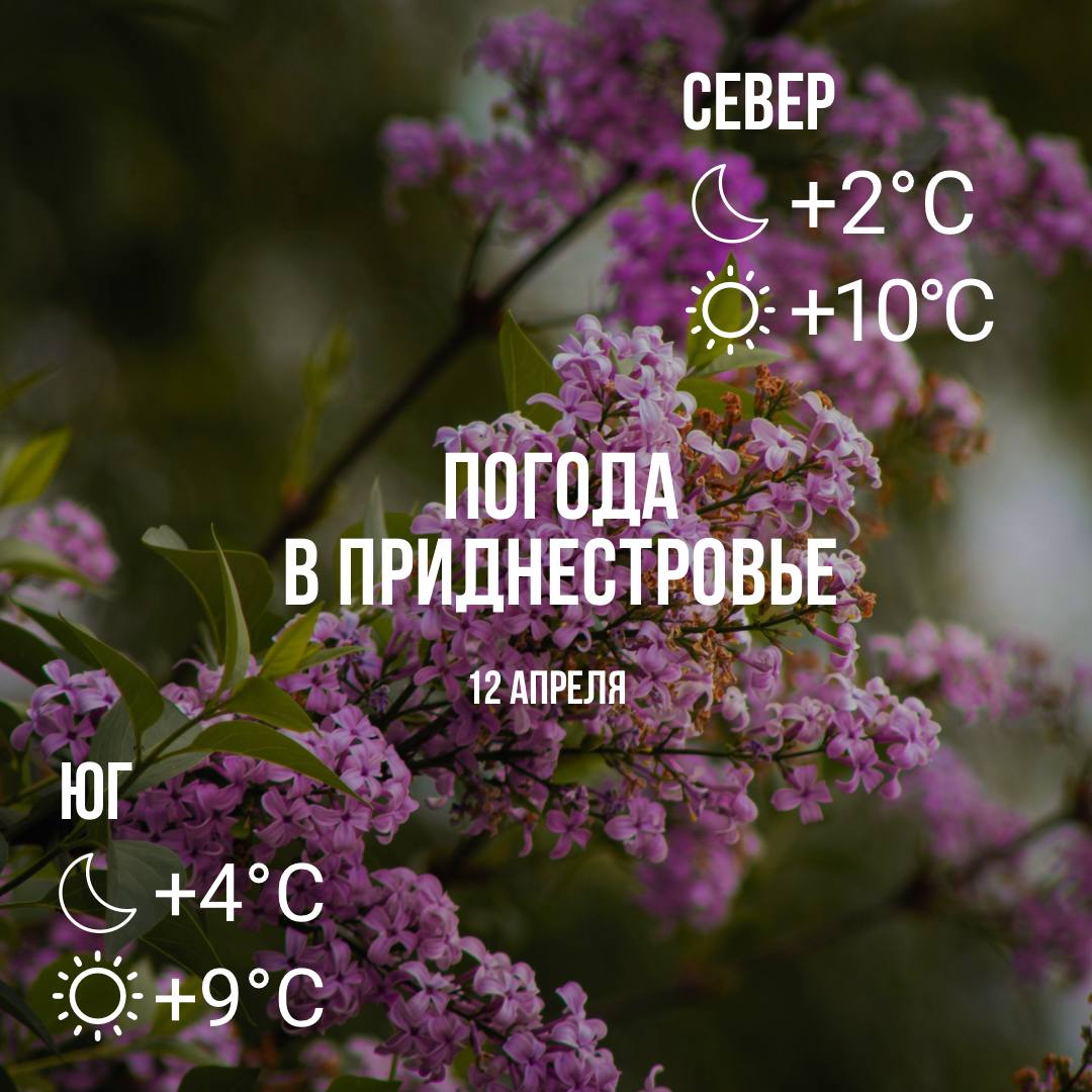 Днём - до +10°С, местами дождь и ледяная крупа