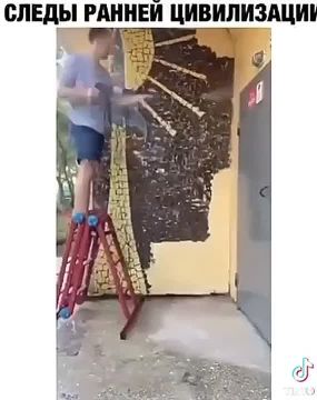 Жители подъезда обнаружили рядом с входом следы ранней цивилизации