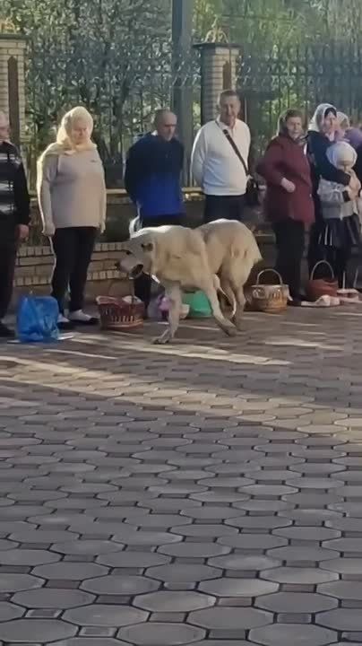 ������� ������������ �����, ����� �� ����� ������ ����� �� �������? ��� ����� ��������� � ��������: ��� ����� ������ � ����� � ����� �������