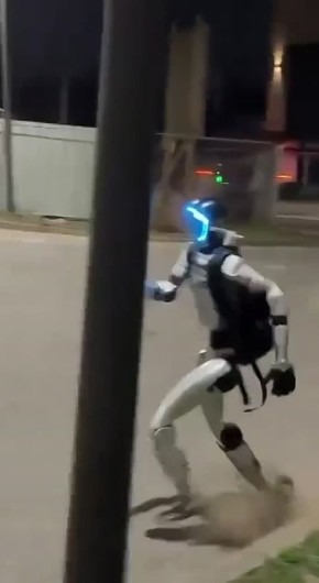 В Польше терминатор разогнал стадо кабанчиков