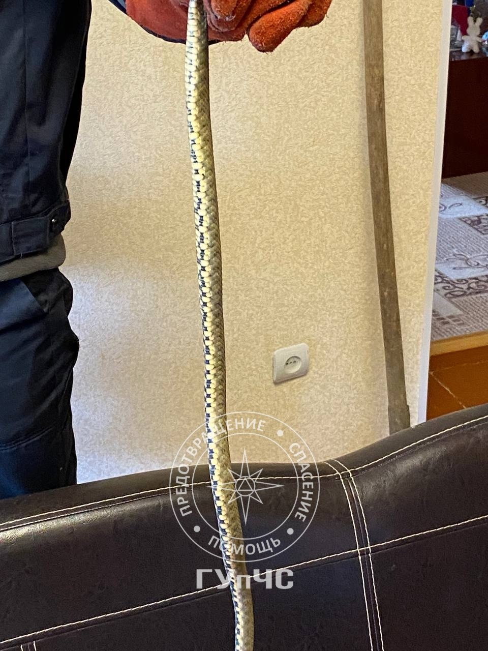 Слободзейские спасатели поймали змею Слободзейские спасатели поймали змею