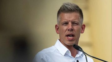 Венгрия выступает против поставок оружия Украине и ускоренного вступления Киева в ЕС — лидер победившей оппозиционной партии Петер Мадьяр