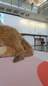 ���� ����������, �������������� ������ ����� ��� � ����������� � ��������� ��������