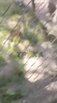 ����� ����������, �������, ��� �� ��� ������, ���� ��� ��������