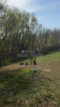 ��� ����� ���� ������ ���������� ������ ��������� (������������� �����) ��� ������ � ���� (�������� �������)