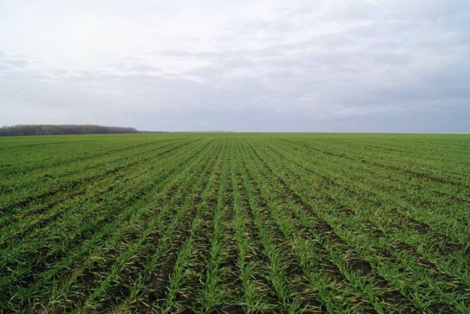 ��������� ������, �� ������ �����������, � ����� ��� ������� ��� ������������������