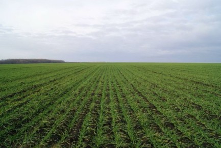 ��������� ������� ������ ������� � ���������� ������������������