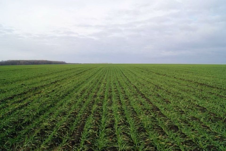 ��������� ������ � ������������� � ������������������