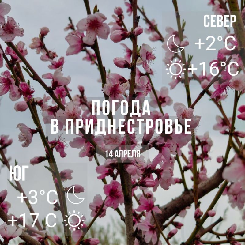 ���� � �� +17��, ��� �������