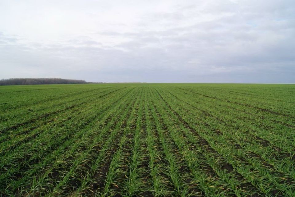 ������ ������� � ������������� ����� ������ ������� ��������� ������ ������ � �������� ������