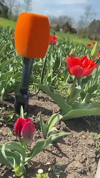 �������� � ��������� ���� ��������� ���