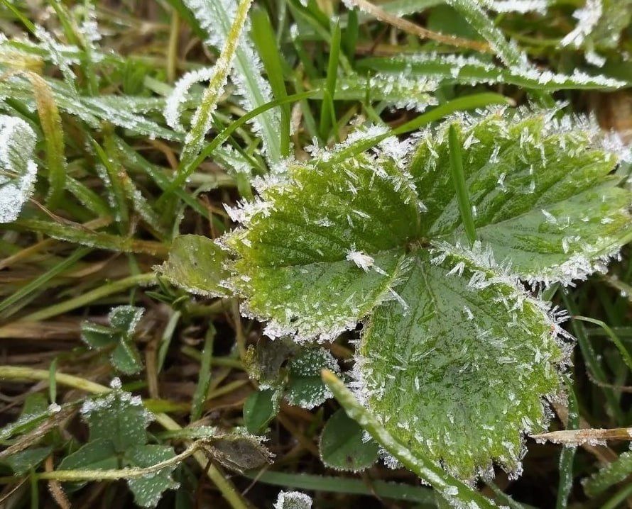 ��������� ��������������. ����� � ����� 15 ������ �� ���������� ��������� ��������� �� ����������� ����� �� -4��, � ������� ������� �� -1��