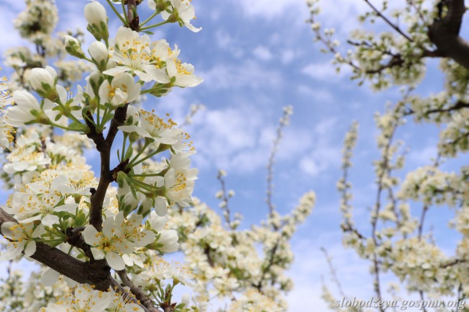 �������� ������. ����� �������� � ���� �����, ��������� ���������� ��� ��������� � ������ ��������