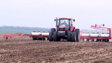 ��� ������ �������. �� ��������� ��������������� ���������� ����������������� ��� �������: �������� � 6,3 ���