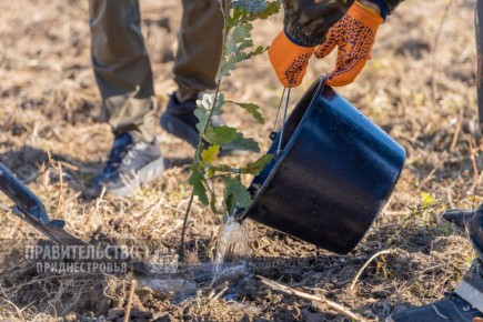 ������ 10 �������� ������ �������� � ������������� � ������� ����