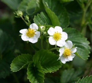 40% ������ �������� ����� ���������� ���������, ���� ������ ����������� ���������� � ������