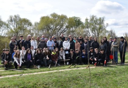 � ��������� ������� ������ ������������ ���������� ������ �� ����������