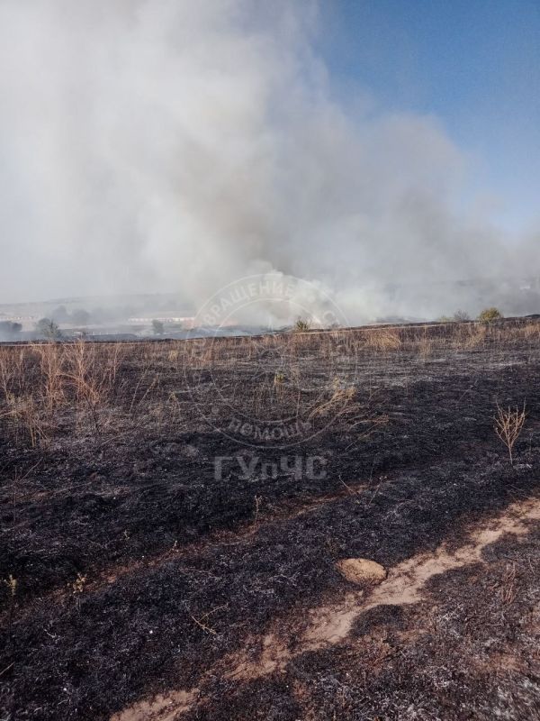 В Грушке (Каменский район) сгорело 20 гектаров сухой травы В Грушке (Каменский район) сгорело 20 гектаров сухой травы