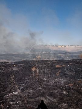 � ������ (��������� �����) ������� 20 �������� ����� �����