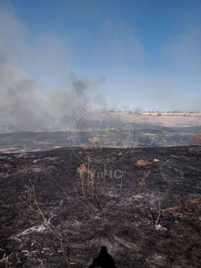 20 �������� ����� ����� �� �������� ������� � ������ � ��������� ������ ����� ����