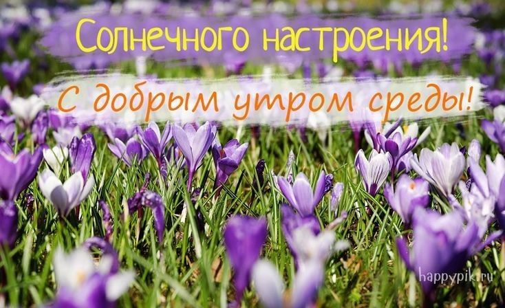 15 апреля – день, когда искусство правит миром