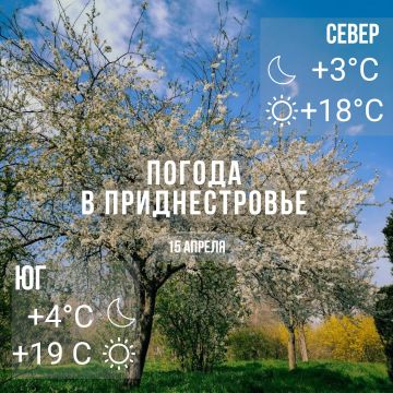 ���� � �� +19��, ��� �������